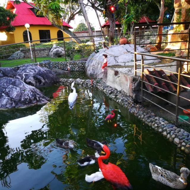 Finca Villa Alegria Chinauta Ngoại thất bức ảnh